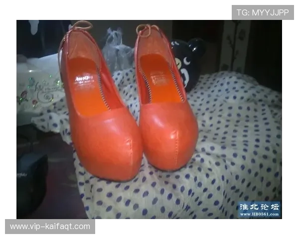 凯发app网址最新入口提供安全稳定的登录通道推荐