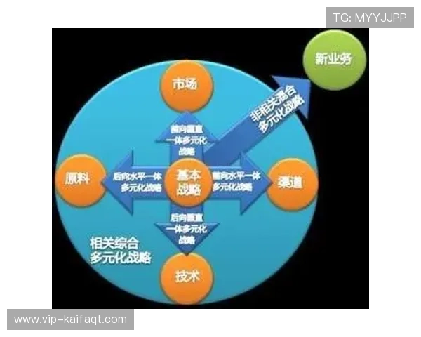 凯发在线官网合作伙伴关系不断拓展推动平台多元化发展战略实施