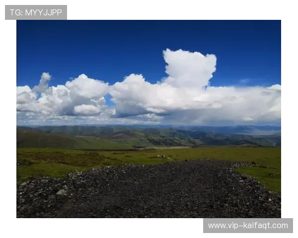 天生赢家一触即发凯发:结合实战案例讲解游戏中的策略布局与应变技巧 天生赢家一触即发凯发:结合实战案例讲解游戏中的策略布局与应变技巧